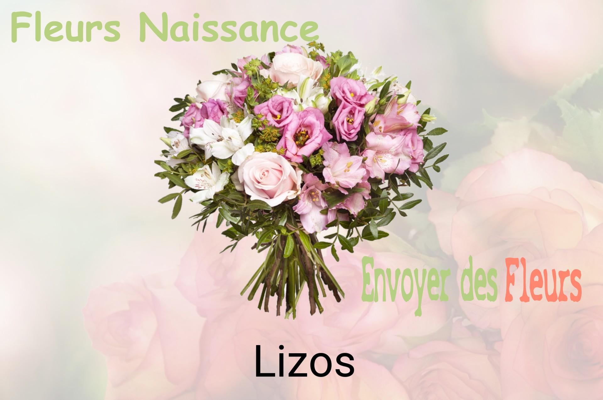 Bouquet de fleurs de naissance livré à Lizos